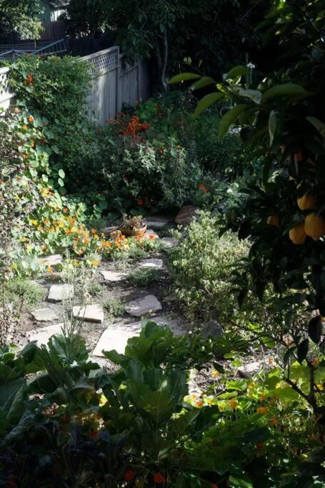 Beautiful, Historic Family Home Near Lake Merritt Oakland Exteriör bild