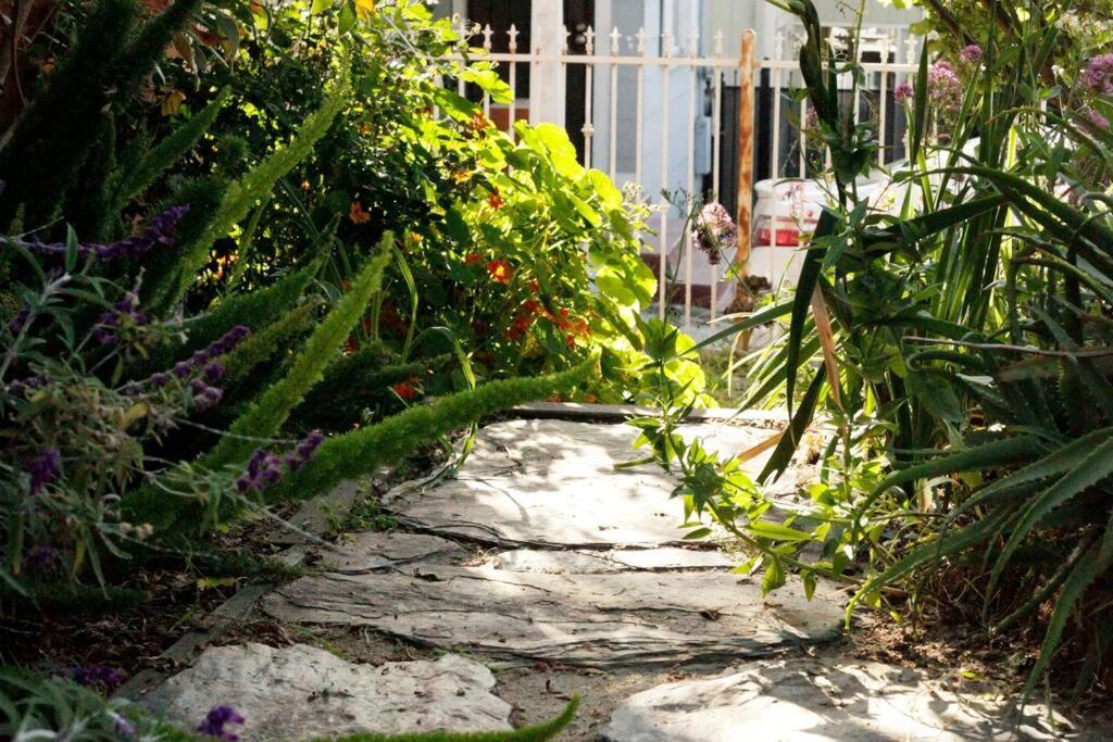 Beautiful, Historic Family Home Near Lake Merritt Oakland Exteriör bild