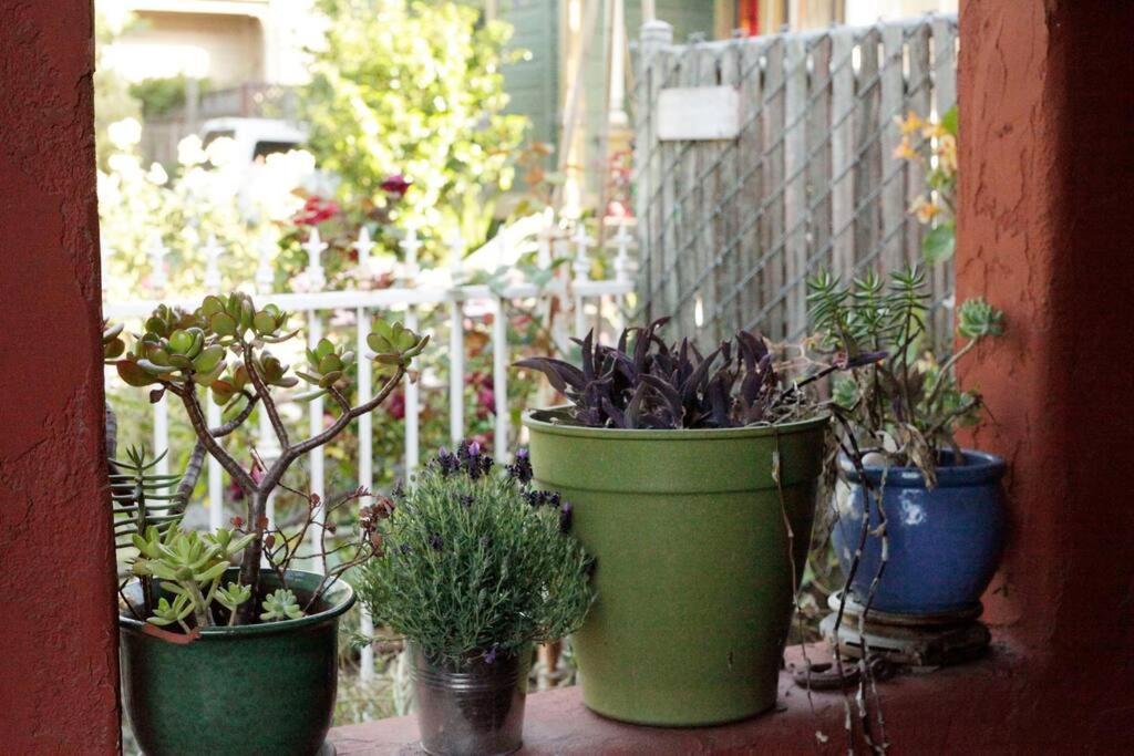 Beautiful, Historic Family Home Near Lake Merritt Oakland Exteriör bild
